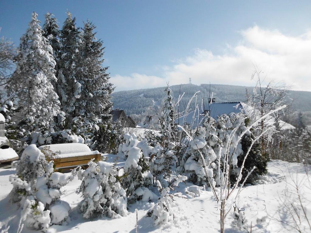 Premium-Ferienwohnungen Bergblick Im Haus Hopfe Goslar Exterior foto
