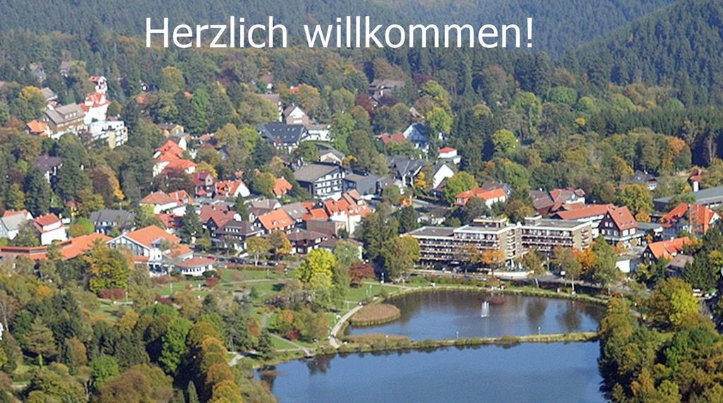 Premium-Ferienwohnungen Bergblick Im Haus Hopfe Goslar Exterior foto